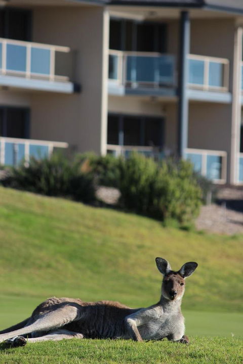 Lady Bay Hotel - Tourism Hervey Bay 16