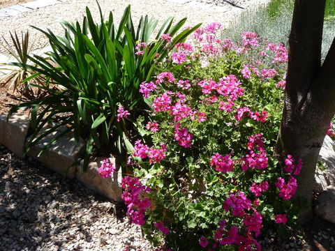 Country Bakehouse Accommodation - Hervey Bay Accommodation 18