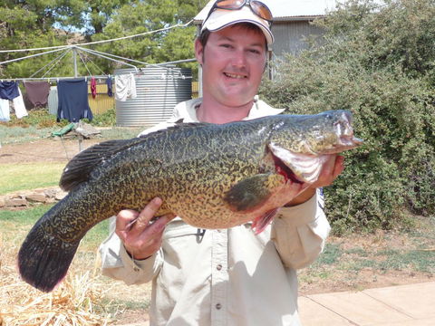 Country Bakehouse Accommodation - Hervey Bay Accommodation 20