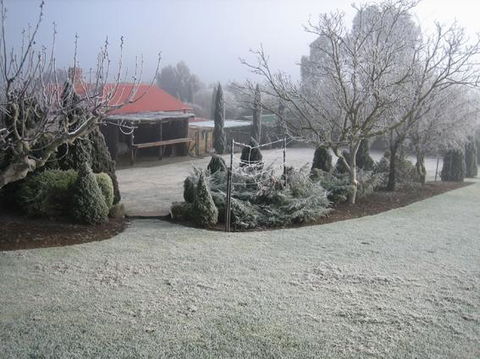Vineyard Cottage BnB - Tourism Hervey Bay 15