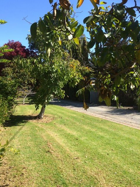 Vineyard Cottage BnB - Tourism Hervey Bay 17