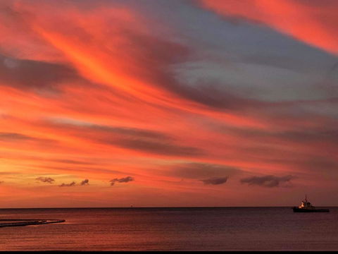 Wallaroo Beachfront Tourist Park - Hervey Bay Accommodation 4