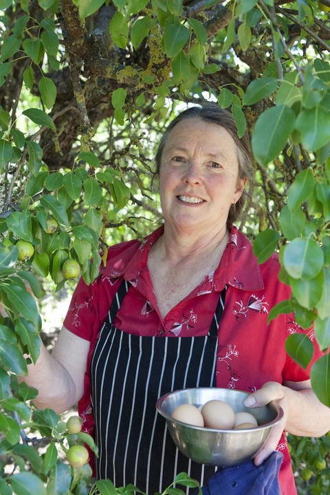 The Fruiterer's - Tourism Hervey Bay 6