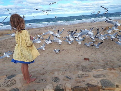Moana Beach Tourist Park - Tourism Hervey Bay 9