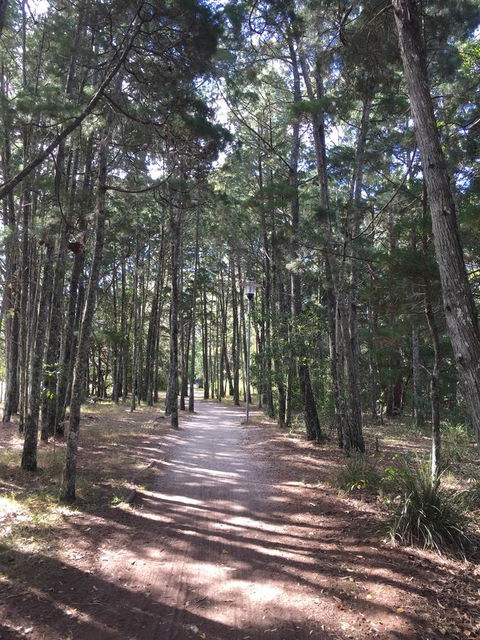 Brunswick Heads Treetop Studio - Hervey Bay Accommodation 8