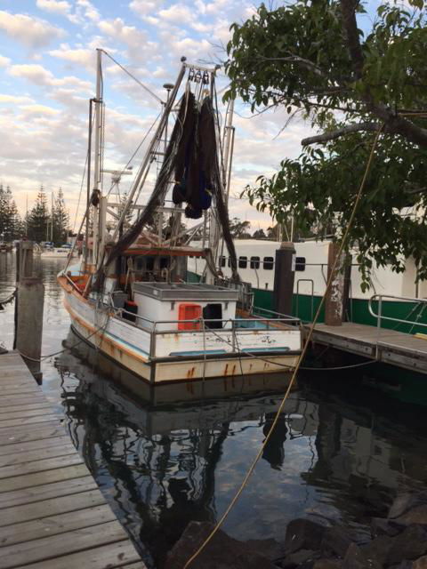 Brunswick Heads Treetop Studio - Hervey Bay Accommodation 25