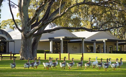 Serafino McLaren Vale - Hervey Bay Accommodation 0