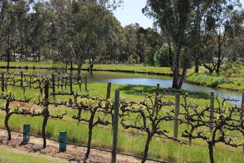 OXENBERRY FARM - Hervey Bay Accommodation 19