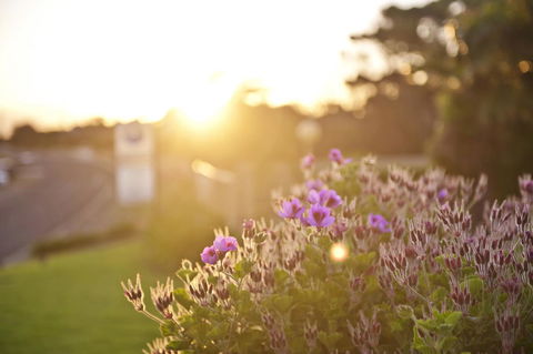 Kangaroo Island Seaside Inn - Tourism Hervey Bay 33