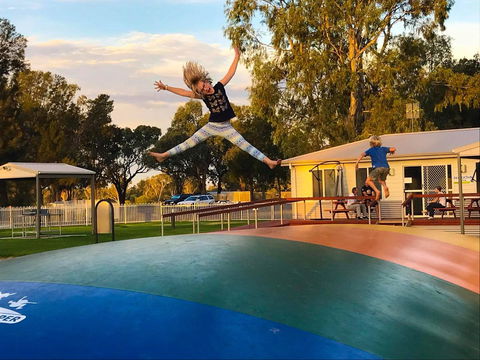 Echo Holiday Parks - Waikerie - Hervey Bay Accommodation 8