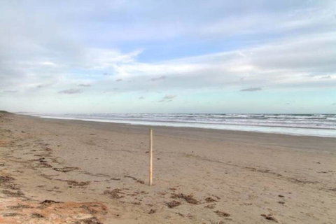 SeaWatch-Sea Views - Hervey Bay Accommodation 6