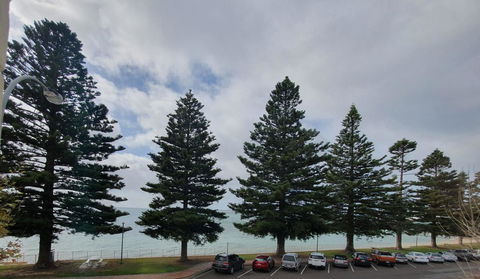 Pier Hotel Port Lincoln - Hervey Bay Accommodation 12