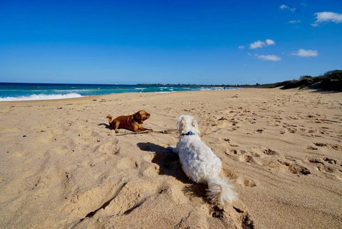 Culburra Beachhouse - Hervey Bay Accommodation 8