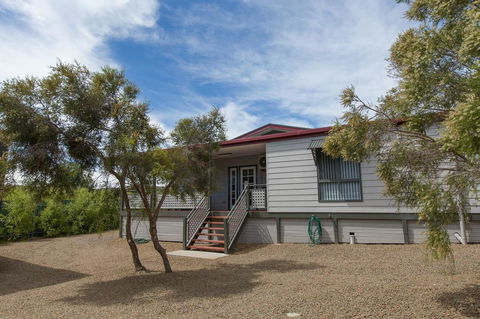 Desert Pea - Tourism Hervey Bay 11