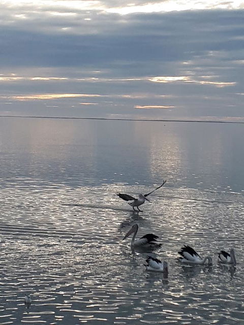 Meningie Waterfront Motel - Hervey Bay Accommodation 25