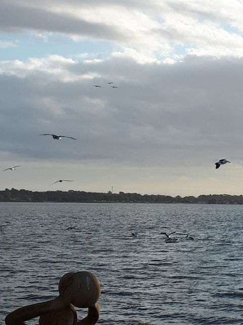 Meningie Waterfront Motel - Hervey Bay Accommodation 34