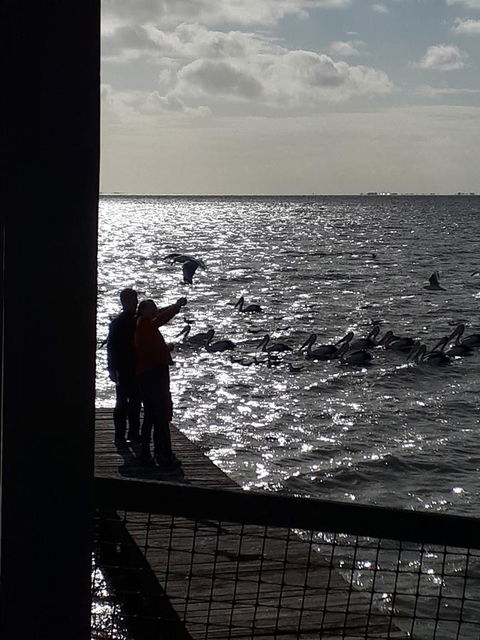 Meningie Waterfront Motel - Hervey Bay Accommodation 27