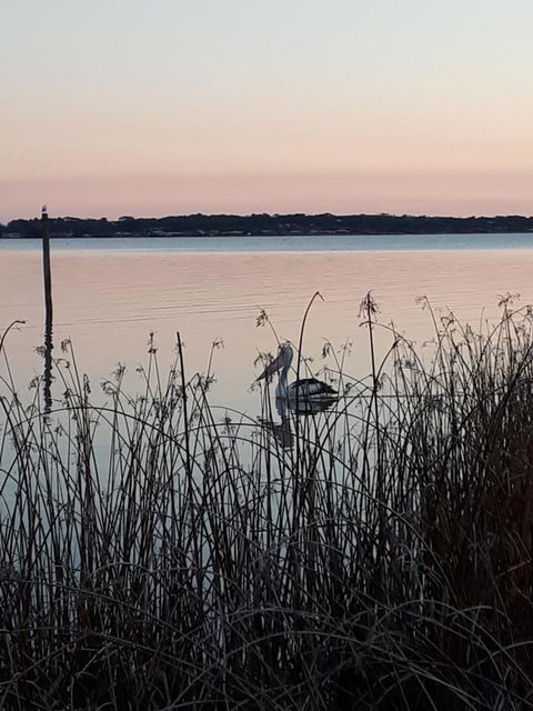 Meningie Waterfront Motel - Hervey Bay Accommodation 8