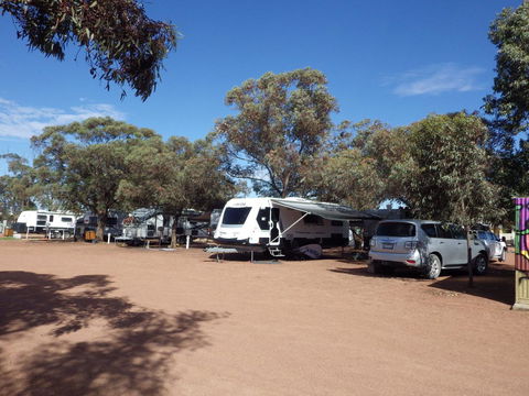 Wudinna Gawler Ranges Motel And Caravan Park - Tourism Hervey Bay 17