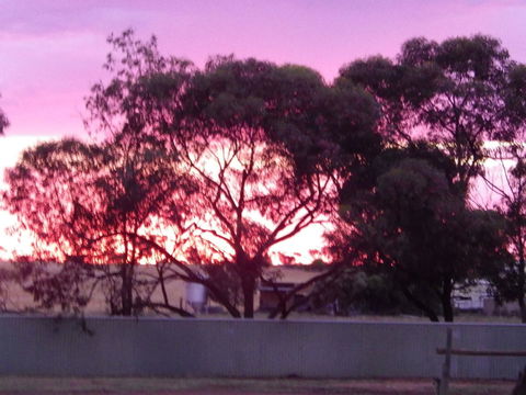 Wudinna Gawler Ranges Motel And Caravan Park - Tourism Hervey Bay 11