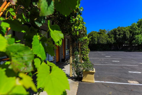 Country Roads Motor Inn Naracoorte - Hervey Bay Accommodation 16