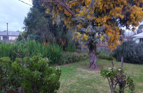 Ruby\'s Cottage - Hervey Bay Accommodation 19