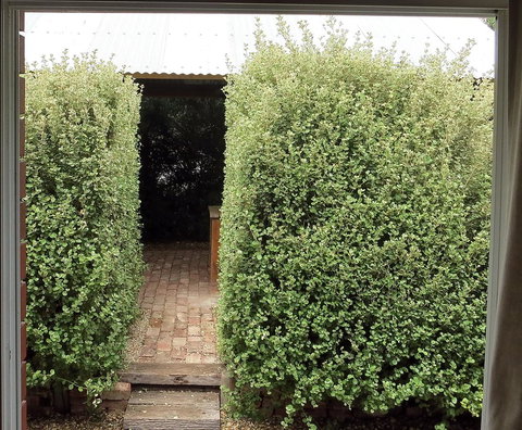 A2@Port Willy - Tourism Hervey Bay 13