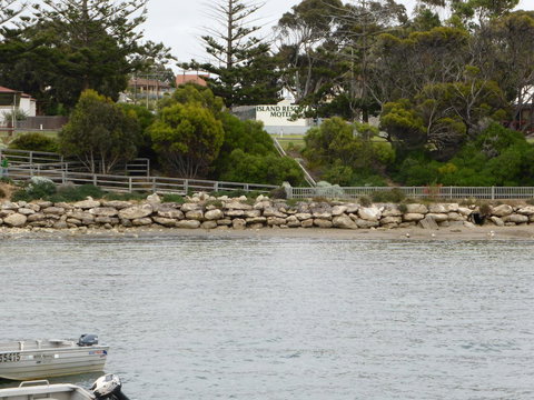 Island Motel Kingscote - Hervey Bay Accommodation 4