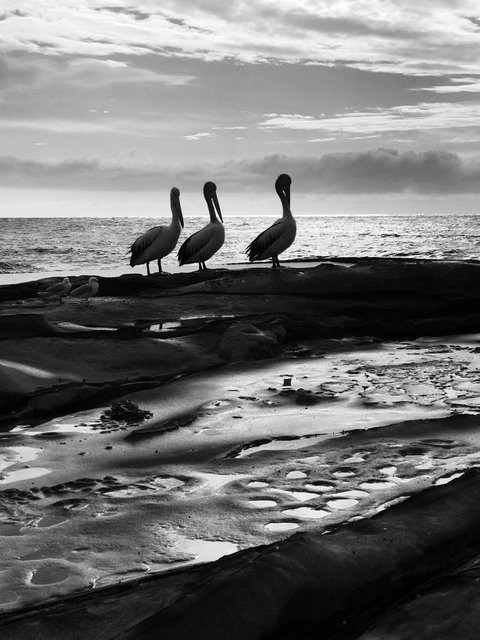 Stylish 3 Bedroom Beachview Apartment - Hervey Bay Accommodation 22