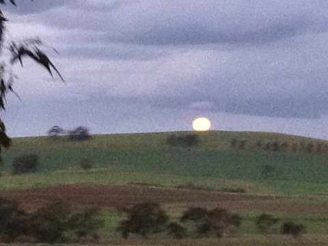 Clare Valley Cabins - Hervey Bay Accommodation 41