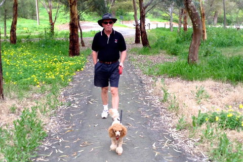 Clare Valley Cabins - Hervey Bay Accommodation 34