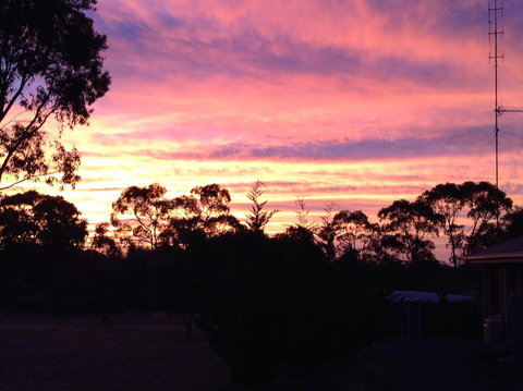 Clare Valley Cabins - Hervey Bay Accommodation 8
