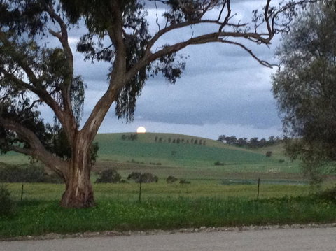 Clare Valley Cabins - Hervey Bay Accommodation 10