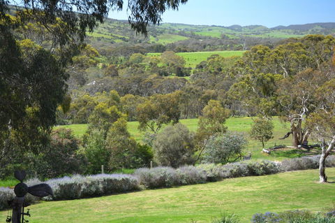 Cabernet Cottage - Tourism Hervey Bay 10
