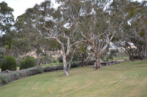 Cabernet Cottage - Tourism Hervey Bay 8