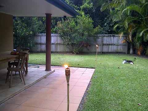 Byron Bay Guest - Hervey Bay Accommodation 9