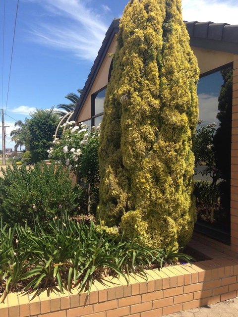 Aviators Lodge - Hervey Bay Accommodation 9