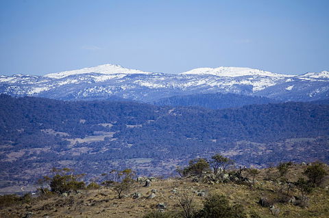 Eagles Range - Tourism Hervey Bay 15