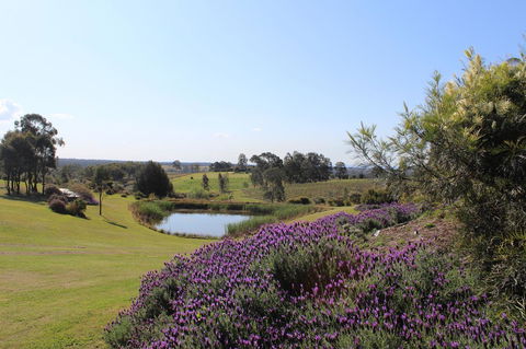 Beltana Villas - Hervey Bay Accommodation 7