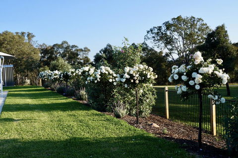 Beltana Villas - Hervey Bay Accommodation 2