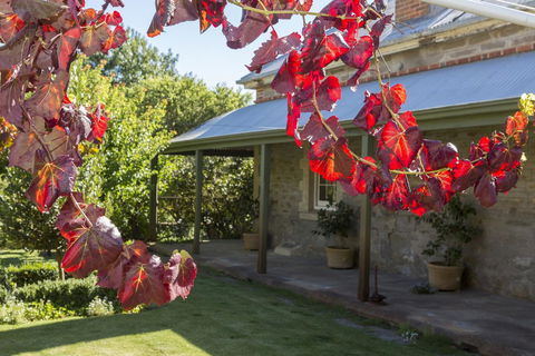 Grand Cru Estate Homestead - Hervey Bay Accommodation 1