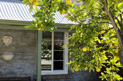 Grand Cru Estate Homestead - Hervey Bay Accommodation 10