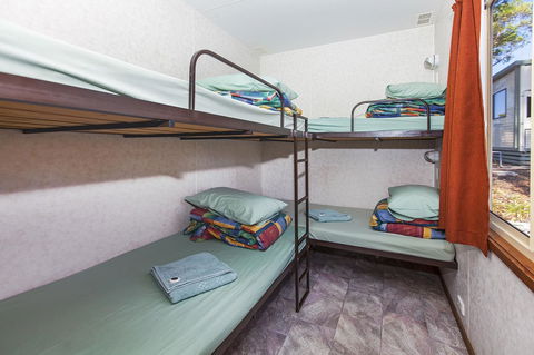 Echo Holiday Parks - Naracoorte - Hervey Bay Accommodation 35