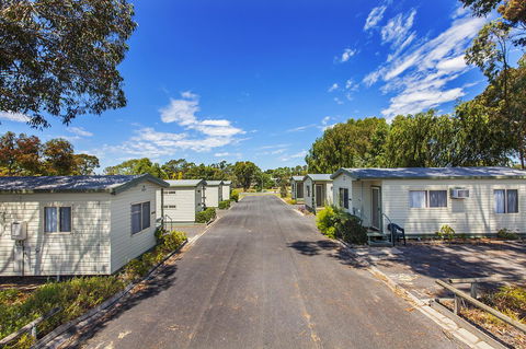 Echo Holiday Parks - Naracoorte - Hervey Bay Accommodation 7