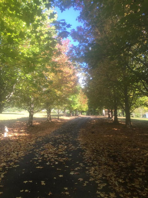 A Peaceful Cabin In The Country - Tourism Hervey Bay 0