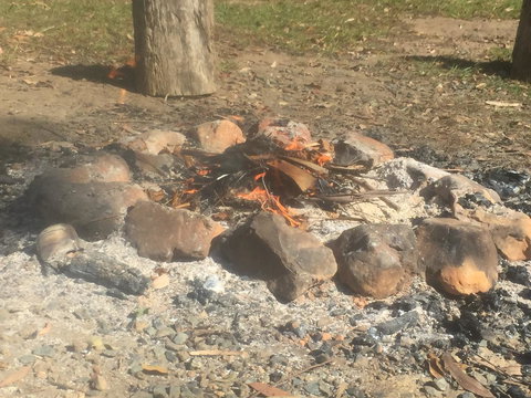 A Peaceful Cabin In The Country - Tourism Hervey Bay 1