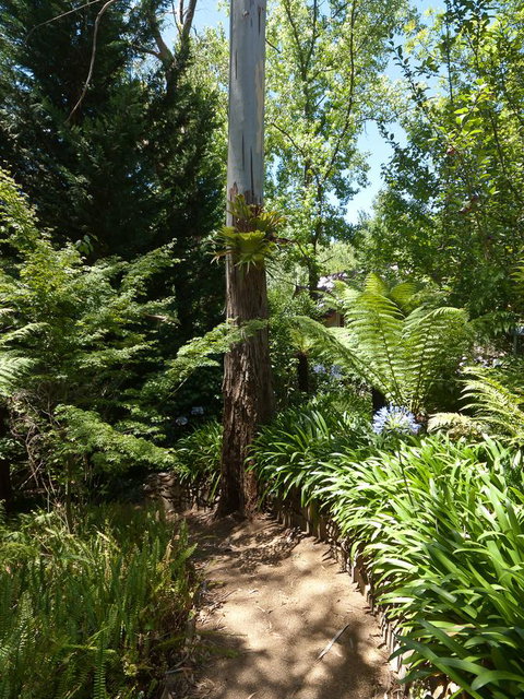 Aldgate Creek Cottage Bed And Breakfast - Hervey Bay Accommodation 27