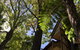 Aldgate Creek Cottage Bed And Breakfast - thumb 8