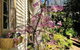 Aldgate Creek Cottage Bed And Breakfast - thumb 19