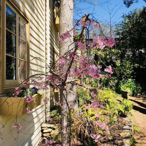 Aldgate Creek Cottage Bed And Breakfast - Hervey Bay Accommodation 19